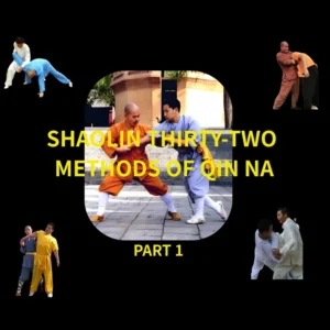 shaolin thirty-two methods of qin na1