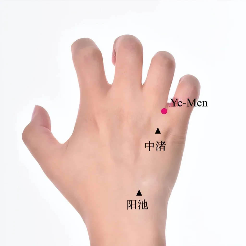 Ye-Men (Liquid Gate) point location on hand for regulating the 3-Zone system and improving male vitality.