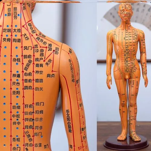 Traditional meridian system diagram for systemic restoration and energy circulation